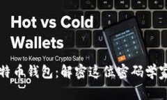 中本聪的比特币钱包:解密这位密码学家的数字