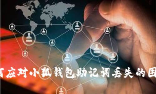 如何应对小狐钱包助记词丢失的困扰？