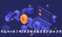 冷钱包的U脏了吗?深度解析数字资产安全与管理