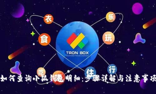如何查询小狐钱包明细:步骤详解与注意事项
