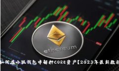 如何在小狐钱包中解押CORE资产？2023年最新教程