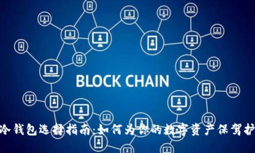 : 冷钱包选择指南:如何为你的数字资产保驾护航