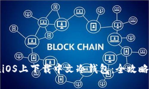 如何在iOS上下载中文冷钱包：全攻略与推荐