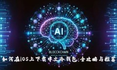 如何在iOS上下载中文冷钱包：全攻略与推荐