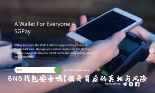BNB钱包安全吗？揭开背后的真相与风险