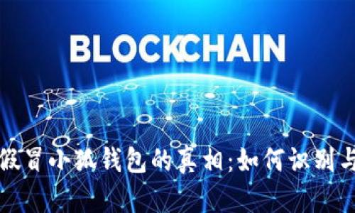 揭秘假冒小狐钱包的真相:如何识别与预防