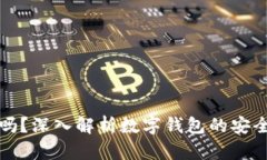 数字钱包安全吗？深入解析数字钱包的安全性与
