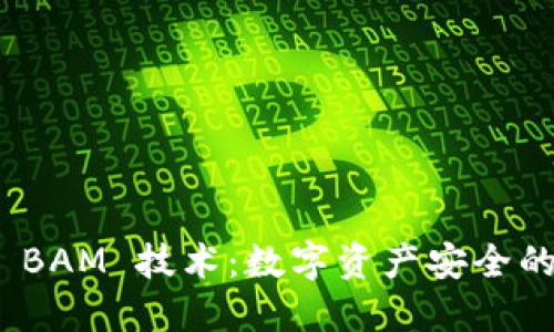 冷钱包 BAM 技术:数字资产安全的新护航