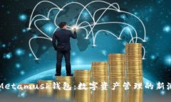 了解Metamusk钱包:数字资产管理的新潮之选