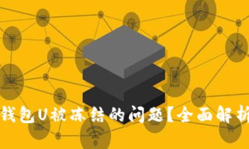 如何处理冷钱包U被冻结的问题?全面解析与解决方案