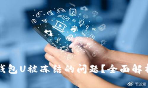 如何处理冷钱包U被冻结的问题?全面解析与解决方案