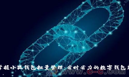轻松掌握小狐钱包批量管理:省时省力的数字钱包新体验