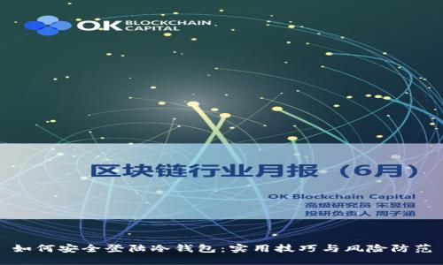 如何安全登陆冷钱包:实用技巧与风险防范
