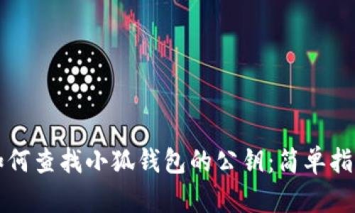 如何查找小狐钱包的公钥:简单指南