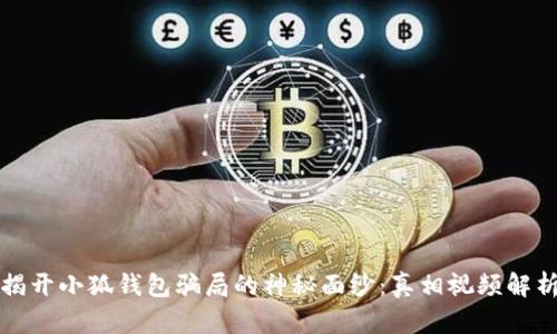 揭开小狐钱包骗局的神秘面纱:真相视频解析