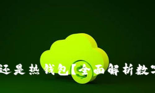 派钱包:冷钱包还是热钱包?全面解析数字资产安全选择
