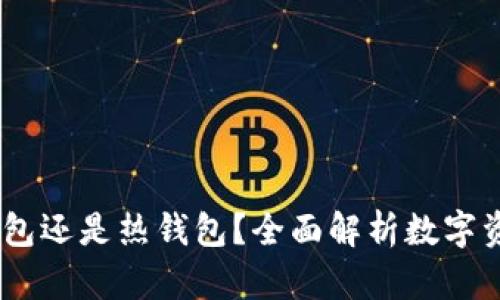 派钱包:冷钱包还是热钱包?全面解析数字资产安全选择