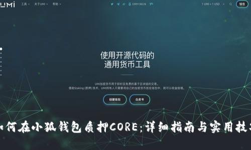 如何在小狐钱包质押CORE:详细指南与实用技巧