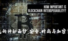 揭开体面冷钱包的神秘面纱:安全、时尚与加密