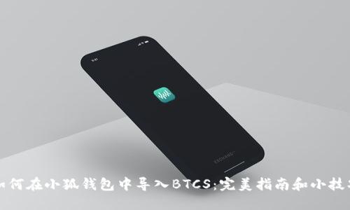 如何在小狐钱包中导入BTCS:完美指南和小技巧