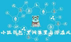 : 探秘小狐钱包:黑洞位置与潜在风险分析