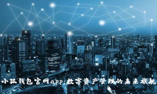 小狐钱包官网app：数字资产管理的未来旗舰