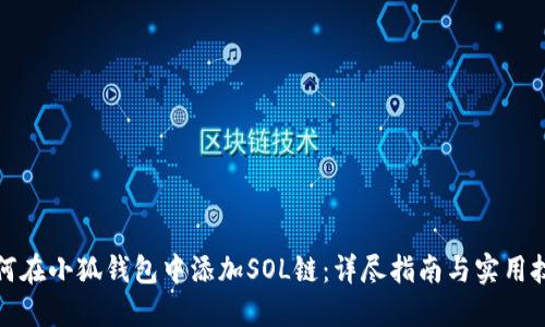 如何在小狐钱包中添加SOL链：详尽指南与实用技巧
