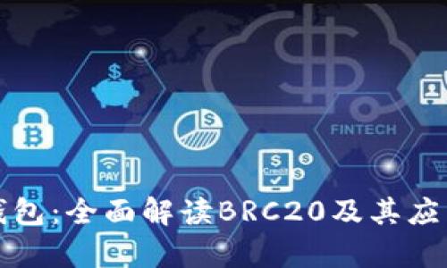 小狐钱包:全面解读BRC20及其应用前景