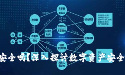 Token钱包安全吗?深入探讨数字资产安全与风险管理