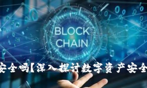 Token钱包安全吗?深入探讨数字资产安全与风险管理