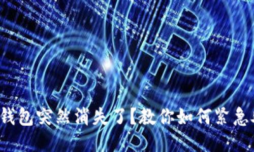 小狐钱包突然消失了？教你如何紧急处理！