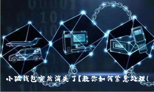小狐钱包突然消失了？教你如何紧急处理！