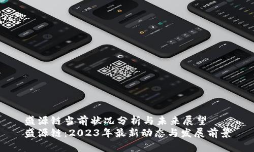 盛源链当前状况分析与未来展望
盛源链：2023年最新动态与发展前景
