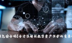 区块链钱包安全吗？全方位解析数字资产保护的