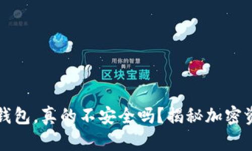 掌上买的冷钱包,真的不安全吗?揭秘加密资产的安全性