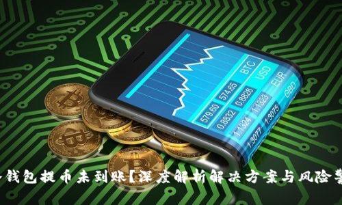  冷钱包提币未到账？深度解析解决方案与风险警示