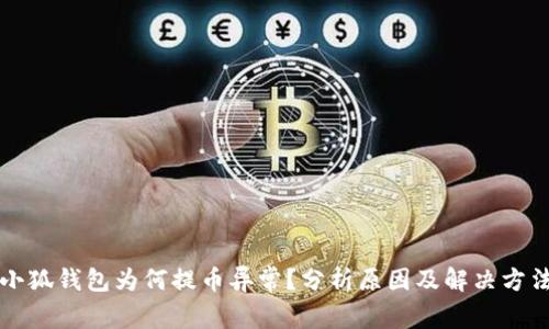 小狐钱包为何提币异常？分析原因及解决方法