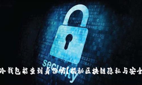 TP冷钱包能查到身份吗？揭秘区块链隐私与安全性