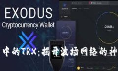 冷钱包中的TRX：揭开波场网络的神秘面纱