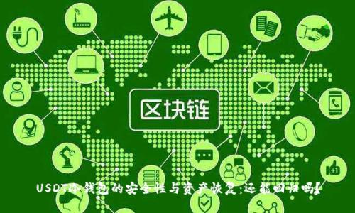 USDT冷钱包的安全性与资产恢复：还能回归吗？