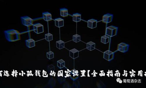 如何选择小狐钱包的国家设置?全面指南与实用技巧