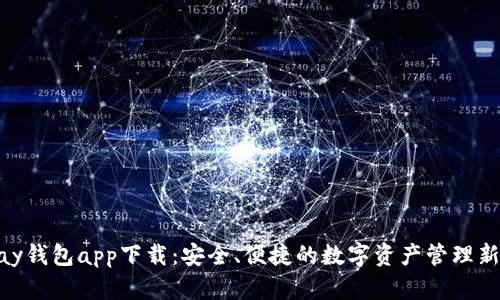 CGPay钱包app下载：安全、便捷的数字资产管理新选择