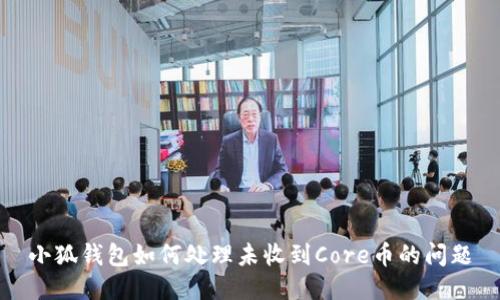 小狐钱包如何处理未收到Core币的问题