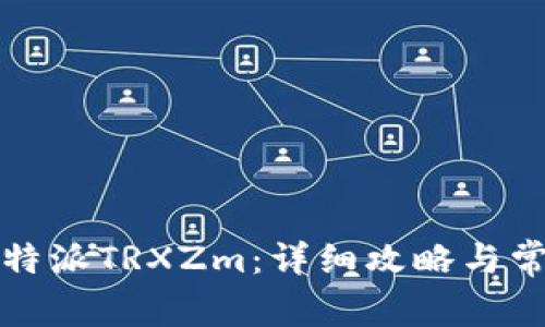 如何获取比特派TRXZm：详细攻略与常见问题解析