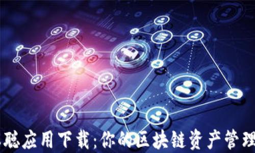 
中本聪应用下载：你的区块链资产管理助手