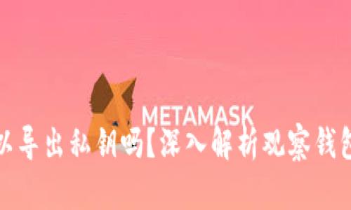 观察钱包可以导出私钥吗？深入解析观察钱包的运作机制