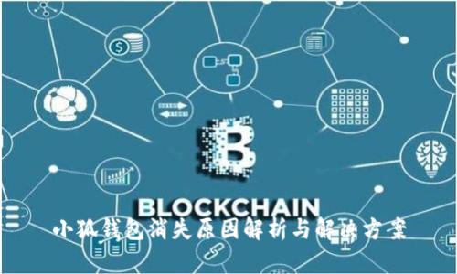 小狐钱包消失原因解析与解决方案