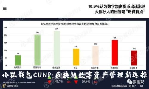 小狐钱包CUNP：区块链数字资产管理新选择